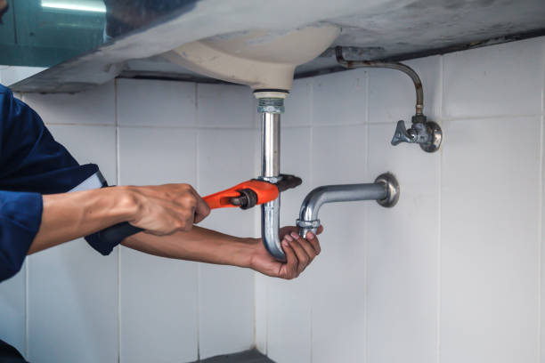 Best Leak Detection Services  in Annandale, MN