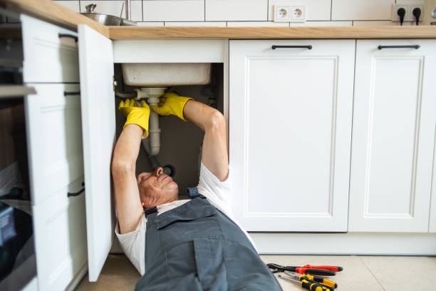 Best Leak Detection Services  in Annandale, MN