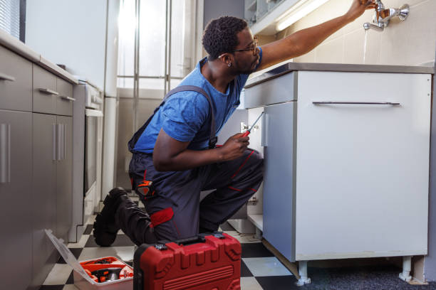 Best Affordable Plumber Near Me  in Annandale, MN