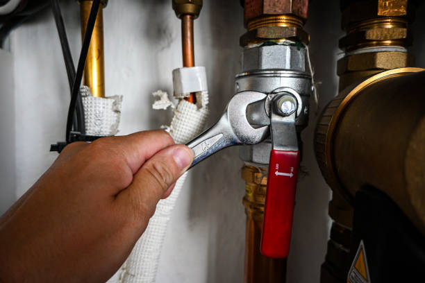 Best Shower Repair Services  in Annandale, MN